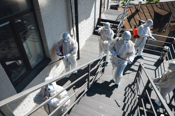 Best Residential Mold Inspection & Testing  in Victoria, MN