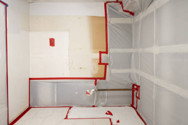 Best Comprehensive Air Testing for Mold Contaminants  in Victoria, MN