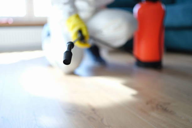 Best Mold Removal for HVAC Installations  in Victoria, MN