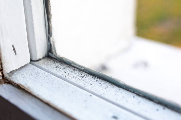 Best Crawl Space Mold Remediation  in Victoria, MN