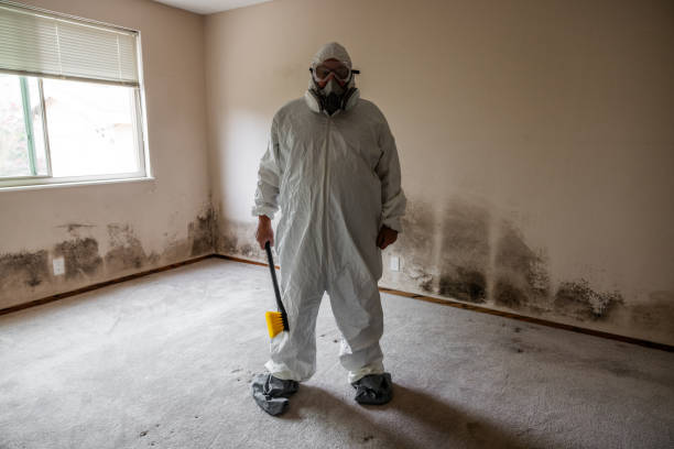 Best Dehumidification Services  in Victoria, MN